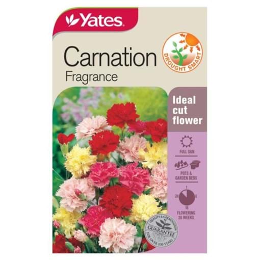18846_Carnation Fragrance_FOP.jpg (2)