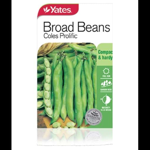 broad_beans_coles_prolific.jpg