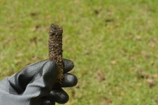 A gloved hand holding a core or plug of soil removed from the lawn