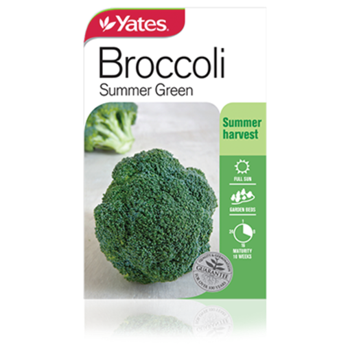 broccoli_summer_green.png (1)
