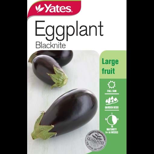 16240_Eggplant Blacknite_FOP.jpg (1)