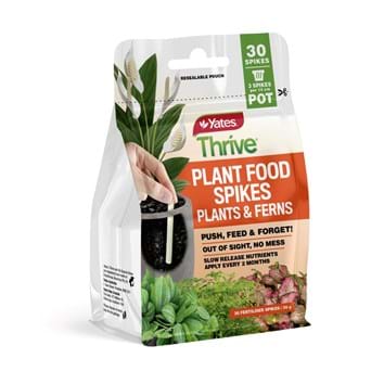 yates-thrive-plant-food-spikes-plants-ferns