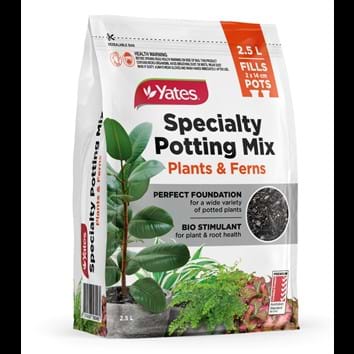 yates-specialty-potting-mix-plants-ferns