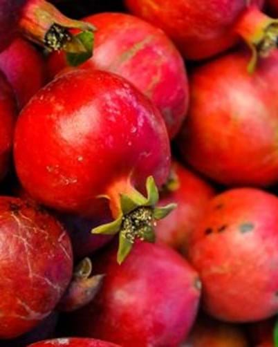 How to Grow Pomegranate