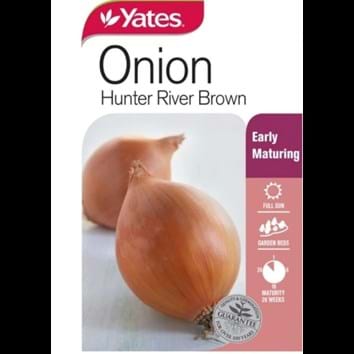 onion-hunter-river-brown