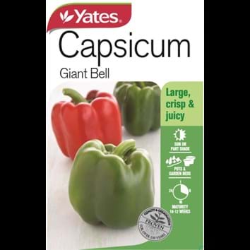 capsicum-giant-bell