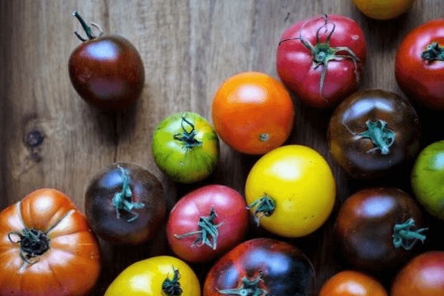 favourite heirloom tomatoes 1