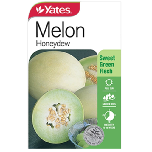 melon-honeydew-2.png (1)