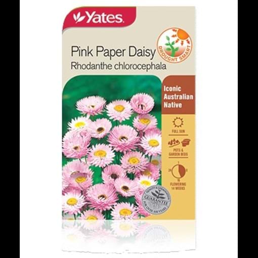 yfc14364n-pink-paper-daisy-product_8573ed60-957d-4639-b733-4e373f66dc5a.jpg