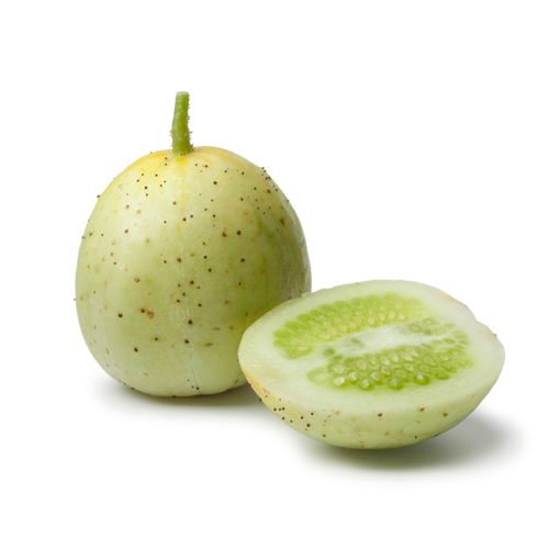 56568_Heirloom Cucumber Apple_Lifestyle1.png (5)