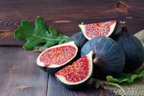 how to grow figs 2