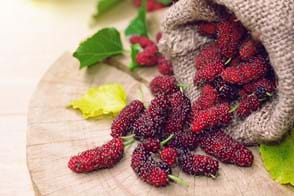 how to grow mulberries 3