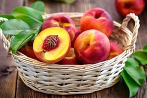 how to grow nectarines peaches 2
