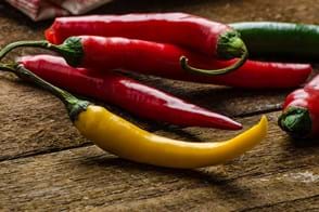 how to grow chillies 3 (1)