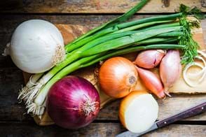 how to grow onions 3 (1)