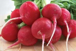 how to grow radishes 3 (1)