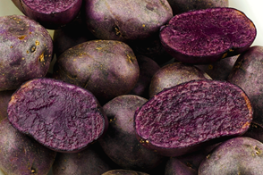 Purple Congo Potato - with some cut in half exposing purple flesh