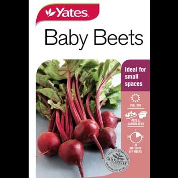 baby-beets