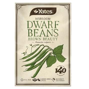 heirloom-beans-dwarf-brown-beauty