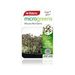 Microgreens Mizuna Red Gems