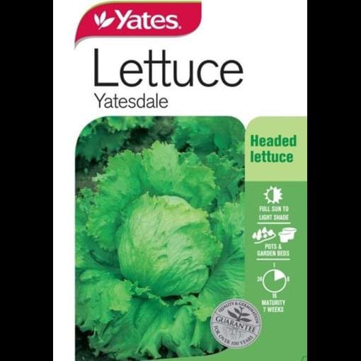 53473_Lettuce Yatesdale_FOP.jpg