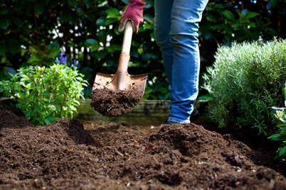 Soil Improvement Beginner's Guide