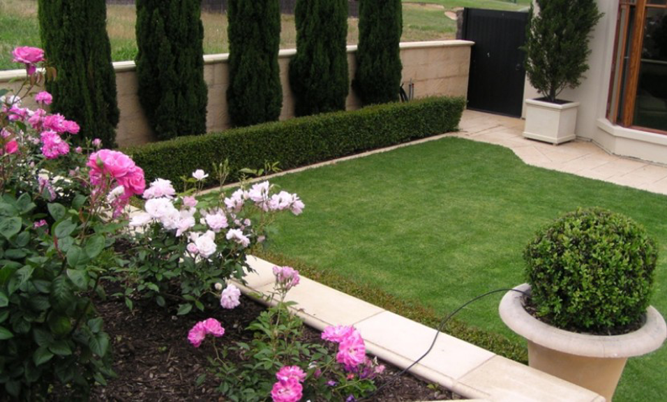 How to renovate your lawn
