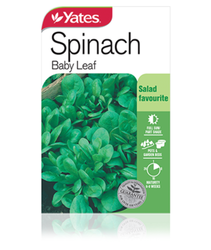 Spinach Baby Leaf | Garden Seeds Yates Australia