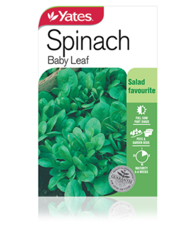 Spinach Baby Leaf Garden Seeds Yates Australia Spinach Baby Leaf Garden Seeds Yates Australia