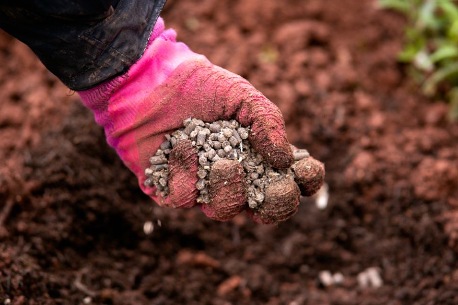 Enriching garden beds with fertiliser