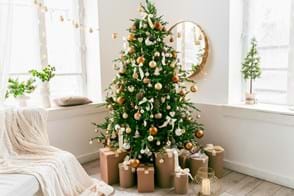 How to Care for & Choose the Perfect Christmas Tree