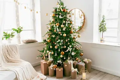 Caring for christmas trees