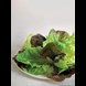 20412_lettuce-salad-mix_1_result.jpg (4)