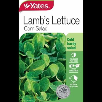 corn-salad-lambs-lettuce