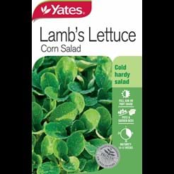 Lamb's Lettuce - Corn Salad