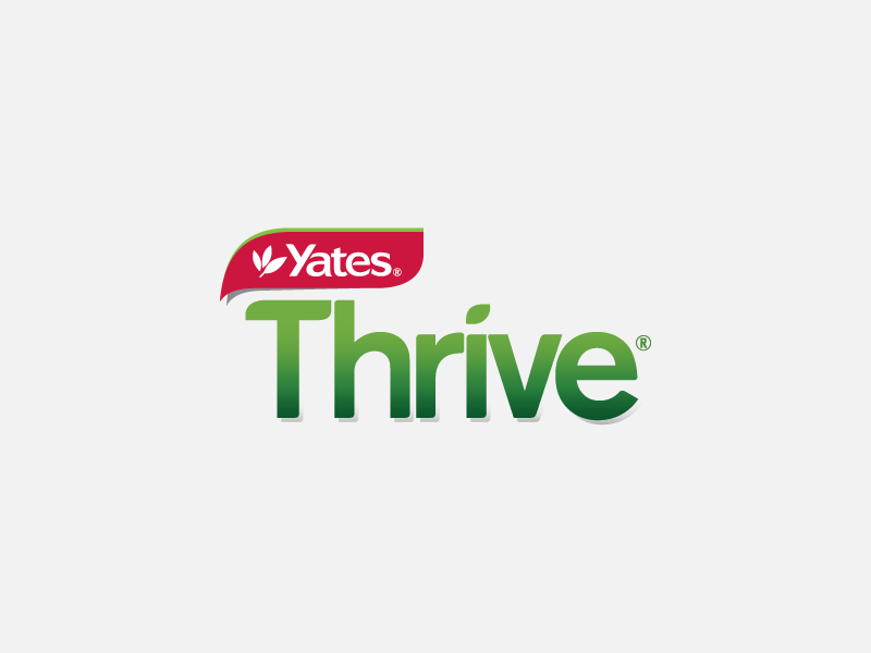 Yates Thrive