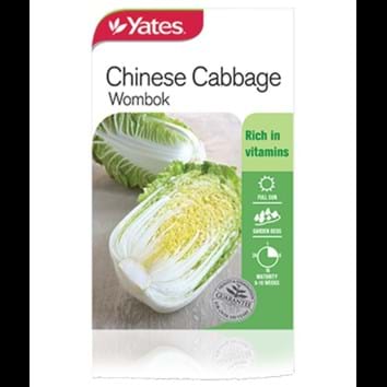 chinese-cabbage-wombok