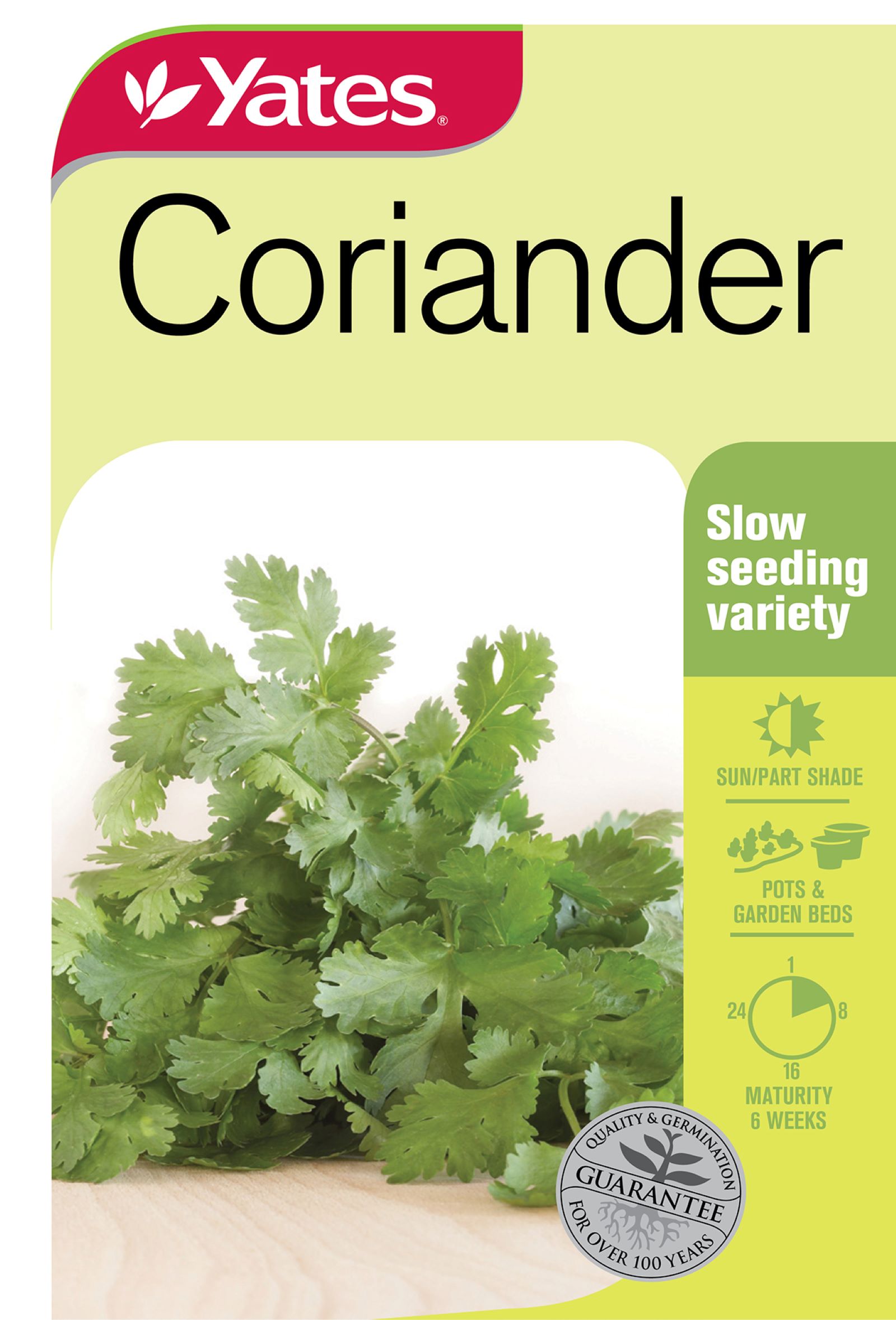 Coriander Garden Seeds Yates Australia