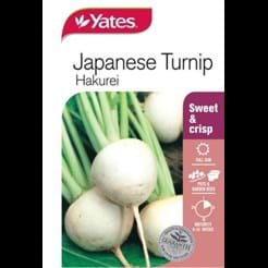 Japanese Turnip Hakurei