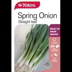 Spring Onion Straight leaf