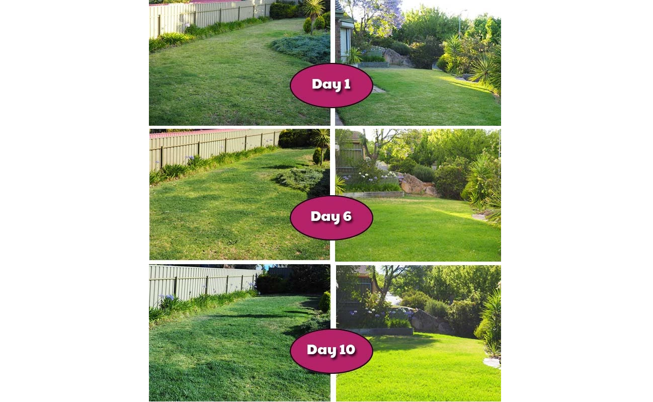 C10e834421bcc6067458dfcbc0ab605849b90b24