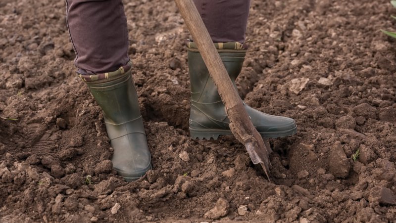 Digging Soil Turn Over 800X451px LS