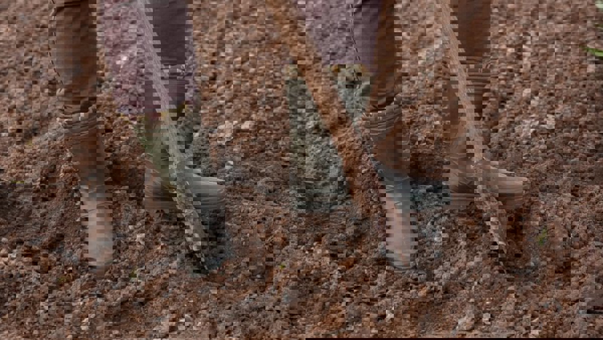 How to Prepare Your Yard for Laying New Turf Yates