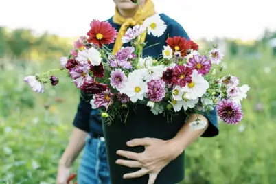 Home-Grown Cut Flowers for Spring and Summer