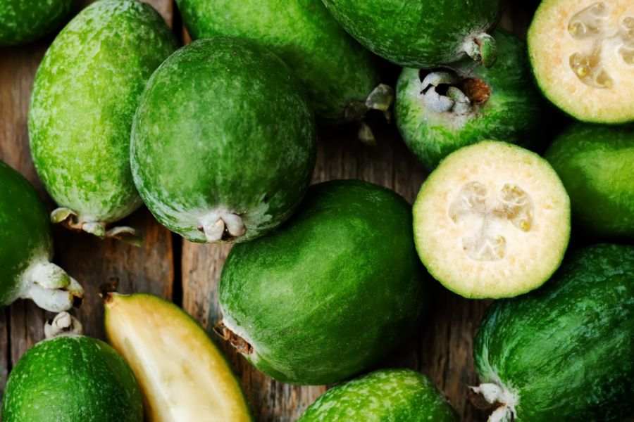 Feijoa