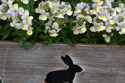 Pretty Pastel Flowers For Easter