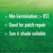 Munns_USP_min_germ_patch_repair_sun_shade.jpg (4)