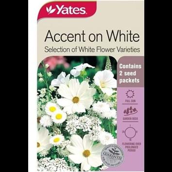 accent-on-white-selection-of-white-flower-varieties