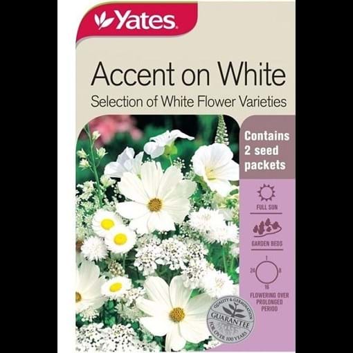51738_Accent on White Selection of White Flower Varieties_FOP.jpg (1)