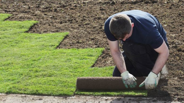 How to Lay Turf to Create an Instant Lawn | Yates
